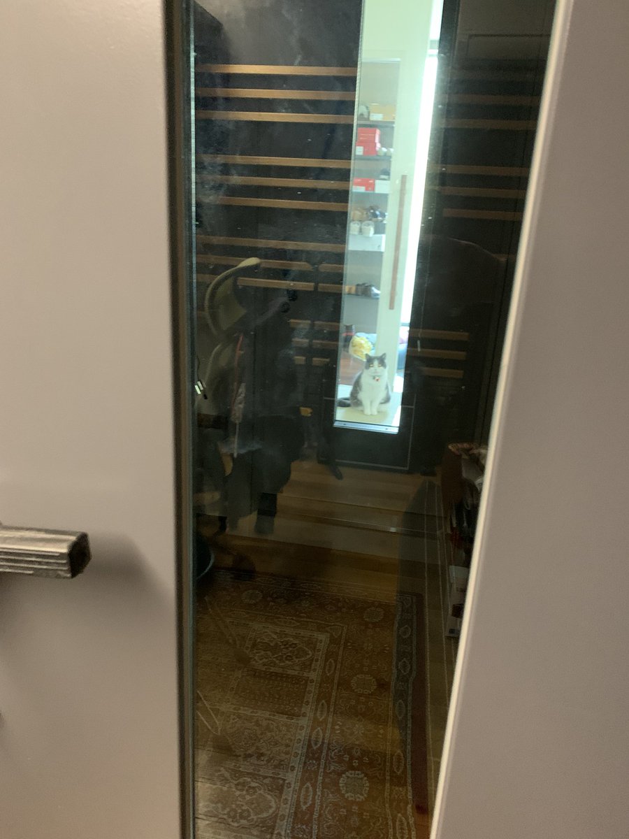 渡辺和紀　（watanabe kazunori) tweet media