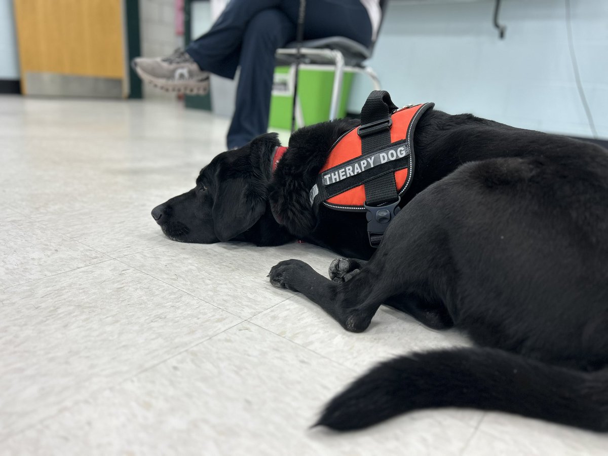 Mrs. Marzillier tweet media