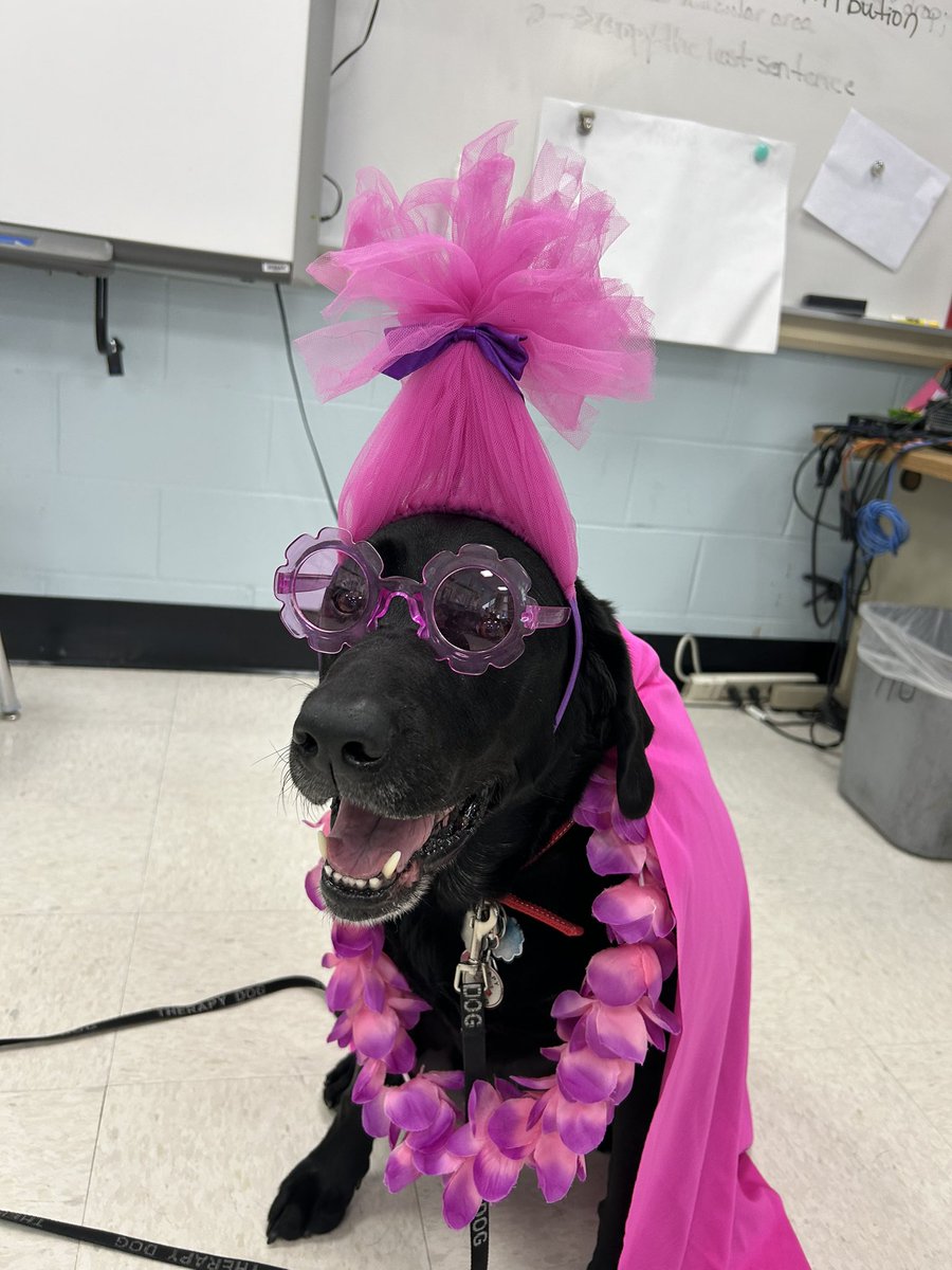 Mrs. Marzillier tweet media