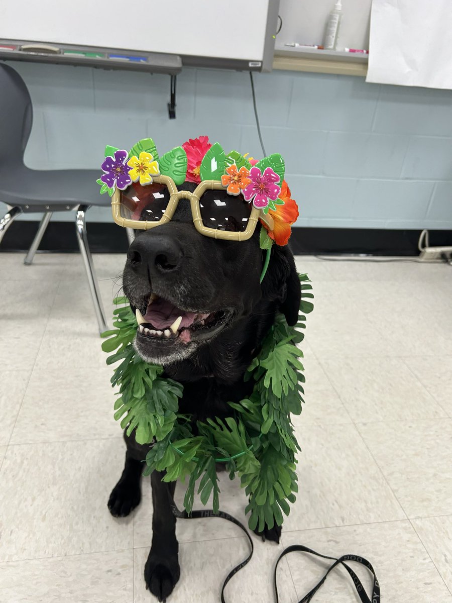 Mrs. Marzillier tweet media