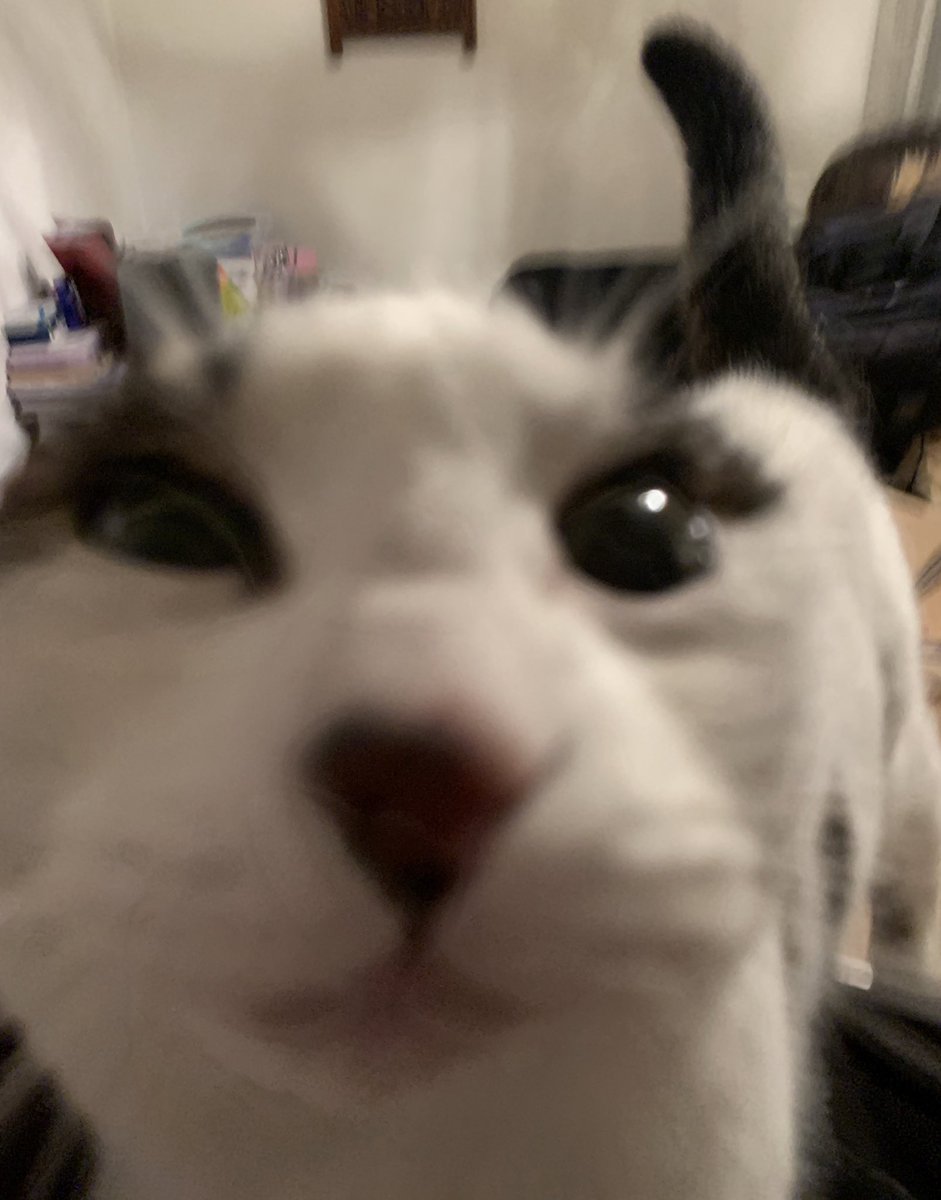 Fardted too loud n pulverized the glass❤️‍🩹