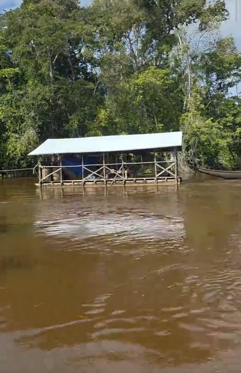 #Atencion #Venezuela 

El río Cuyuní en #ElDorado #edoBolivar continúa siendo la autopista d la ilegalidad, siendo la principal vía para el transporte d insumos y combustible a las minas ilegales en su cauce y riberas

#SurDelOrinoco 
#AusenciaEstadoDeDerecho 
#EconomiasIlicitas