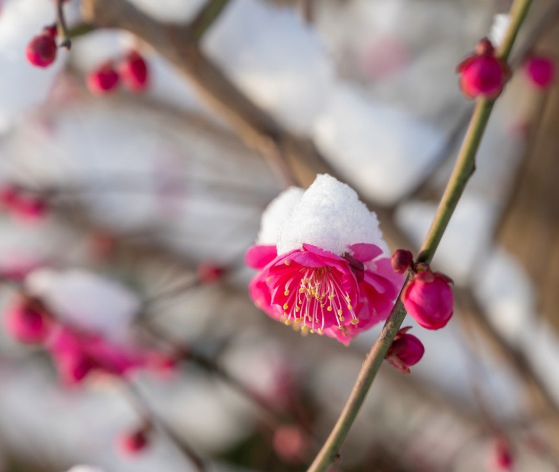 chachako·K (@goiuHFVZQB60r6O) / Posts / X