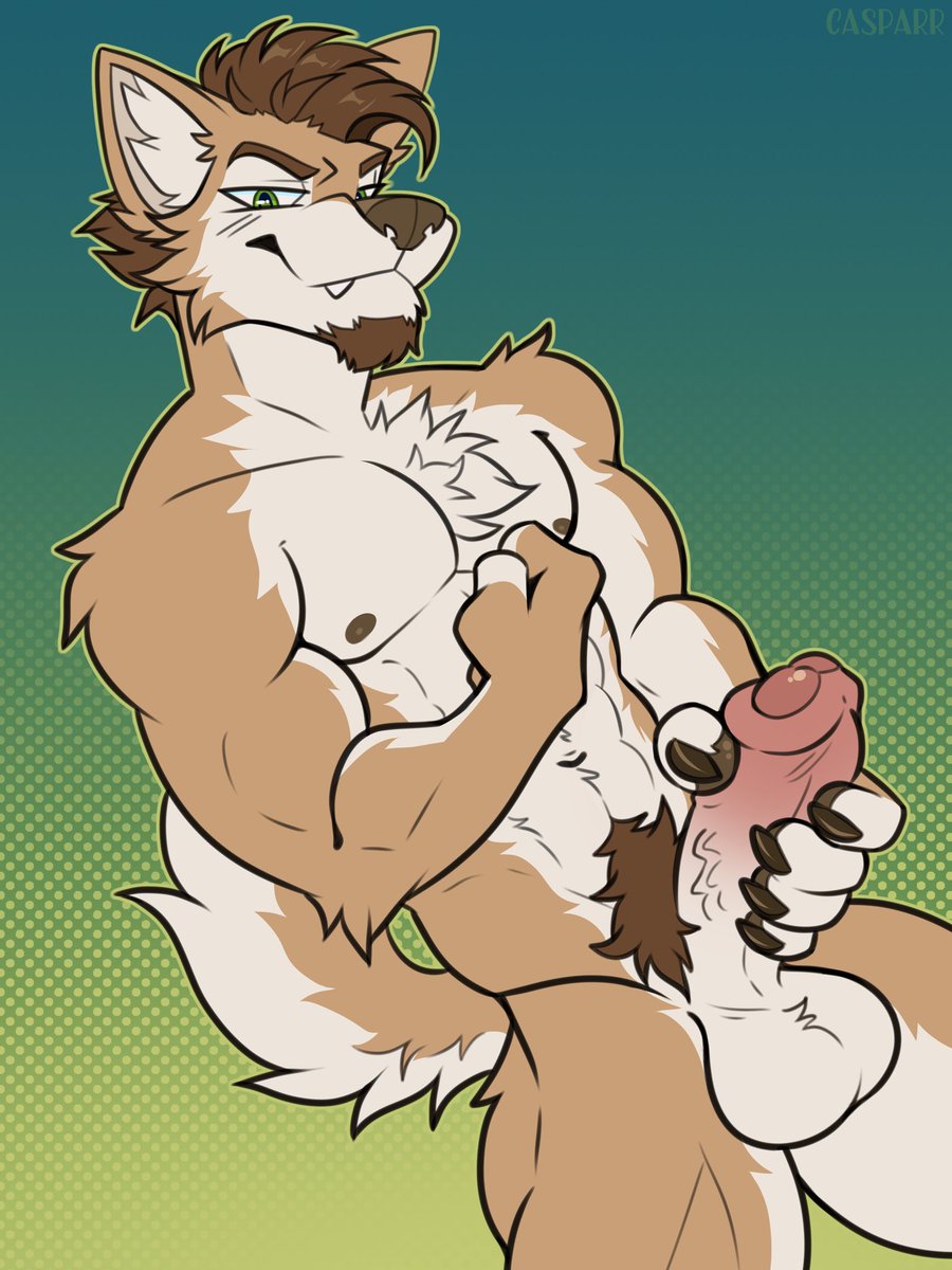 Zabi 🇲🇽 tweet media