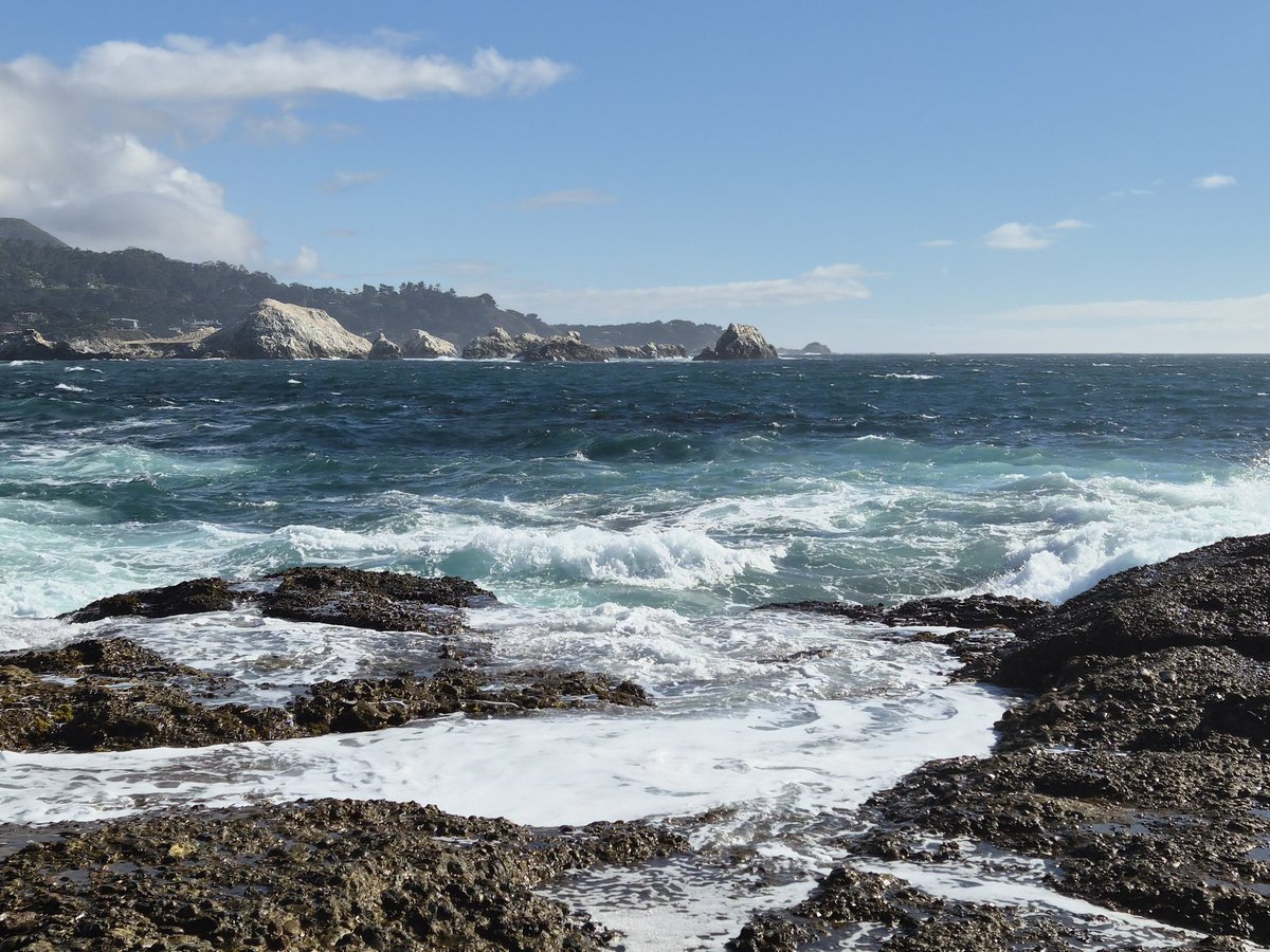 TangledTiles's tweet photo. Love this pic! Going to create a #glass #mosaic piece~ hmmmm... titled  "Memories of Monterey Bay" https://t.co/bKy4YCHF8F