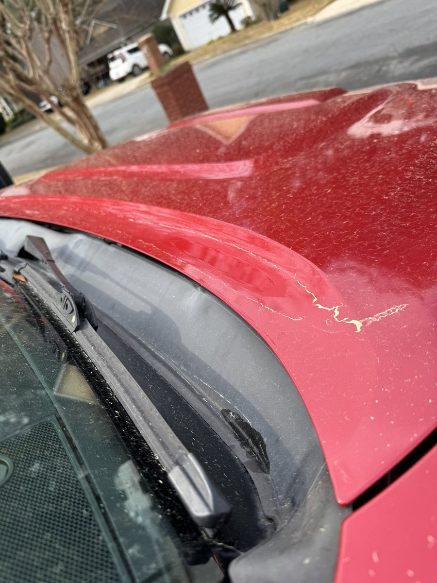 🥁 Rob 🎸 tweet media