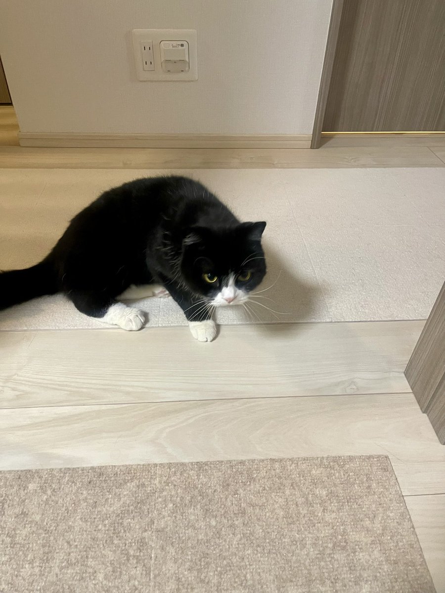 たろう (@taro20216) / Posts / X