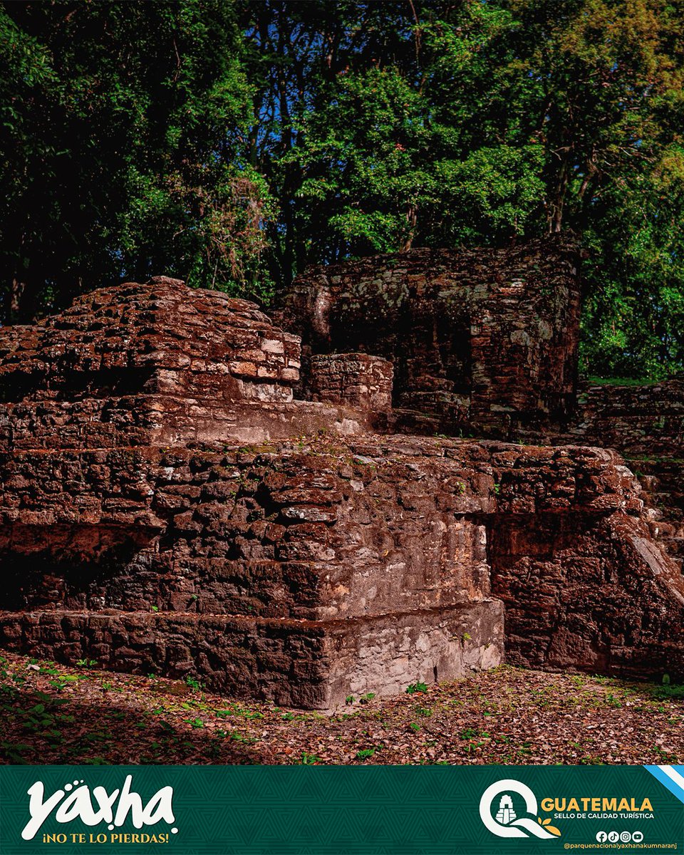 Textura de la historia. 📸 Caminar por Yaxhá es entender que la naturaleza siempre gana, pero la cultura maya es eterna. Miren cómo la selva reclama estas estructuras. 🍃🗿

Esa paz mental que buscas no está en una app, está aquí, entre piedras y árboles. Una vibra mística