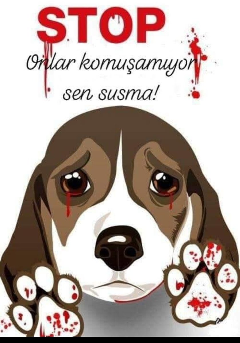 Neval Yagci tweet media