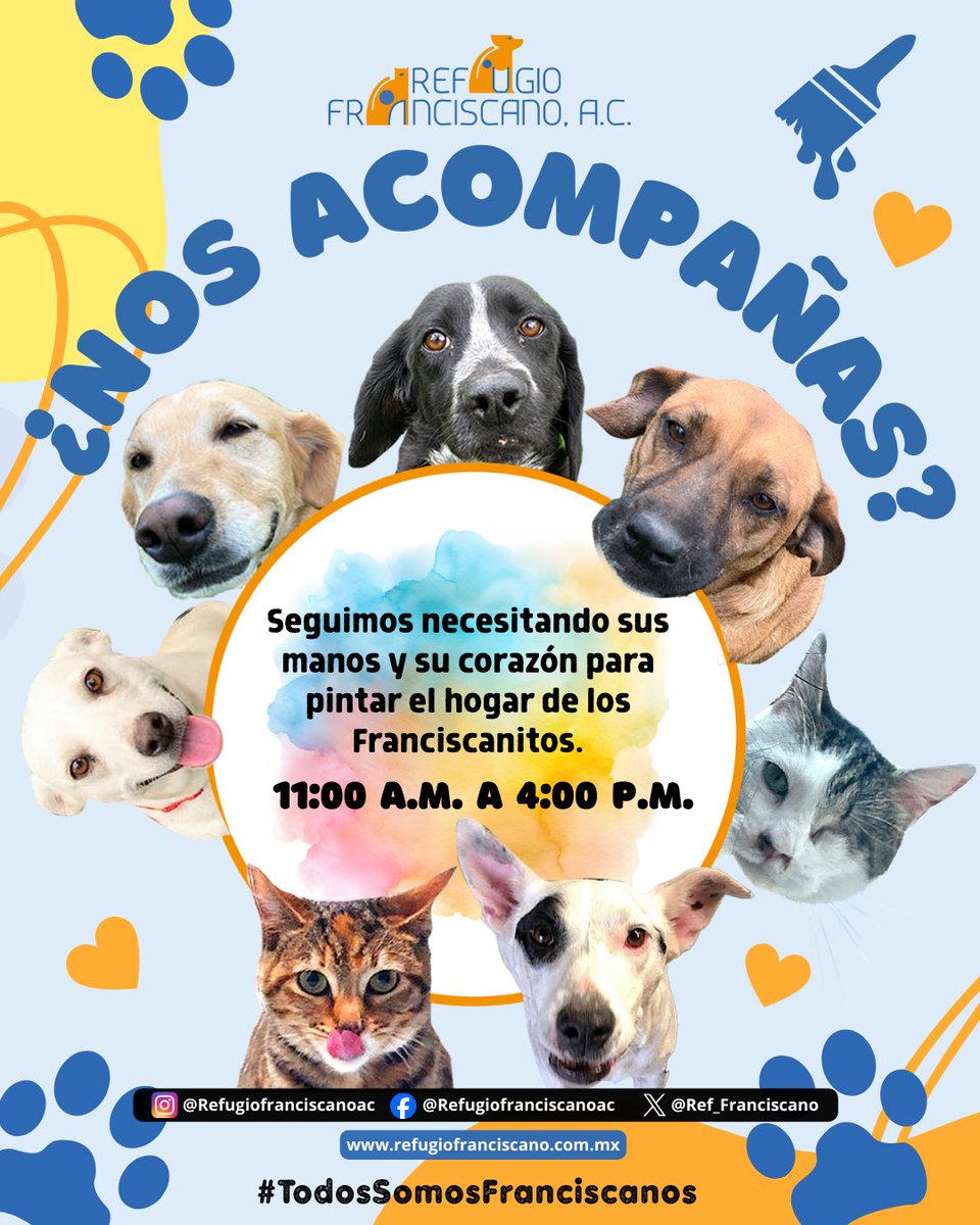 #TodosSomosFranciscanos