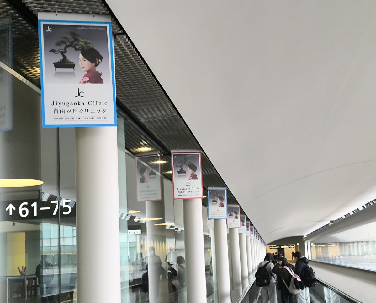 日本に帰国したら美容医療の広告がズラリと迎えてくれるの、なんかキモいんですけど