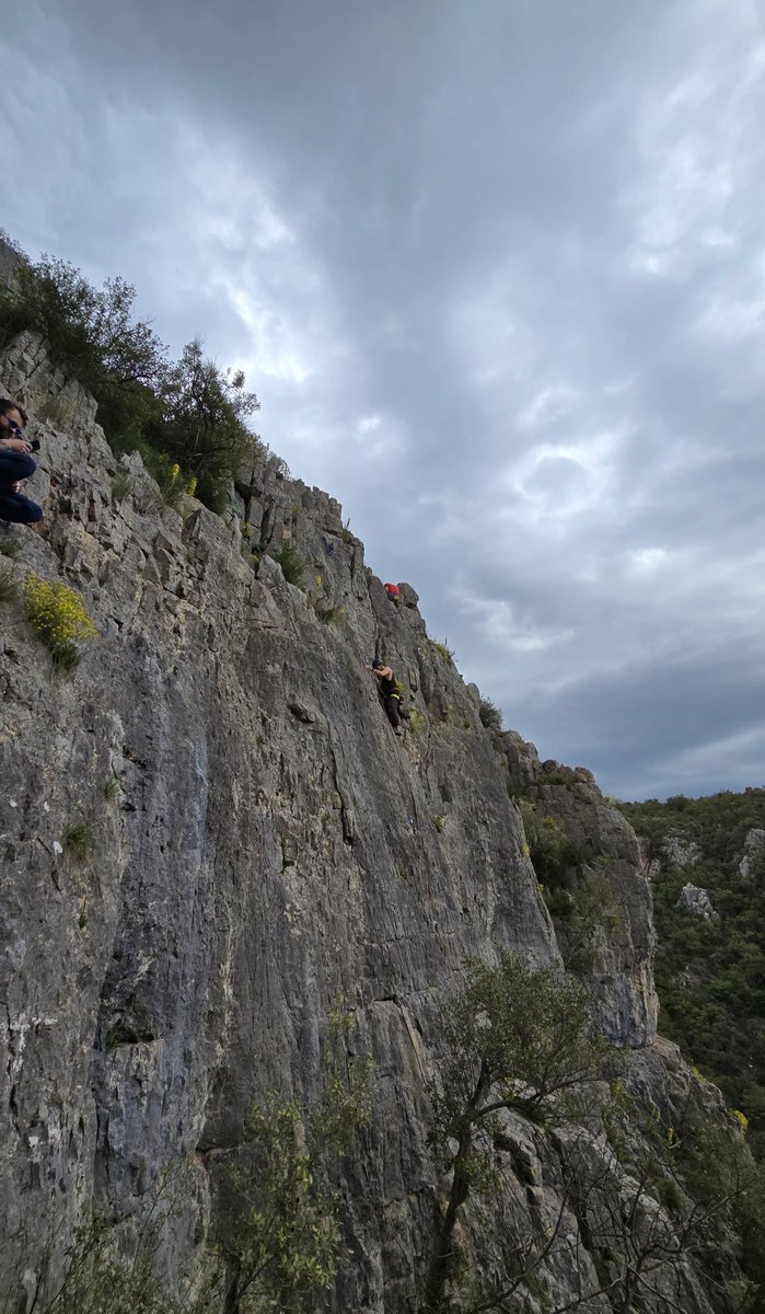 okanbycl's tweet photo. Alex honnold aynen https://t.co/V3X1DGMlQK