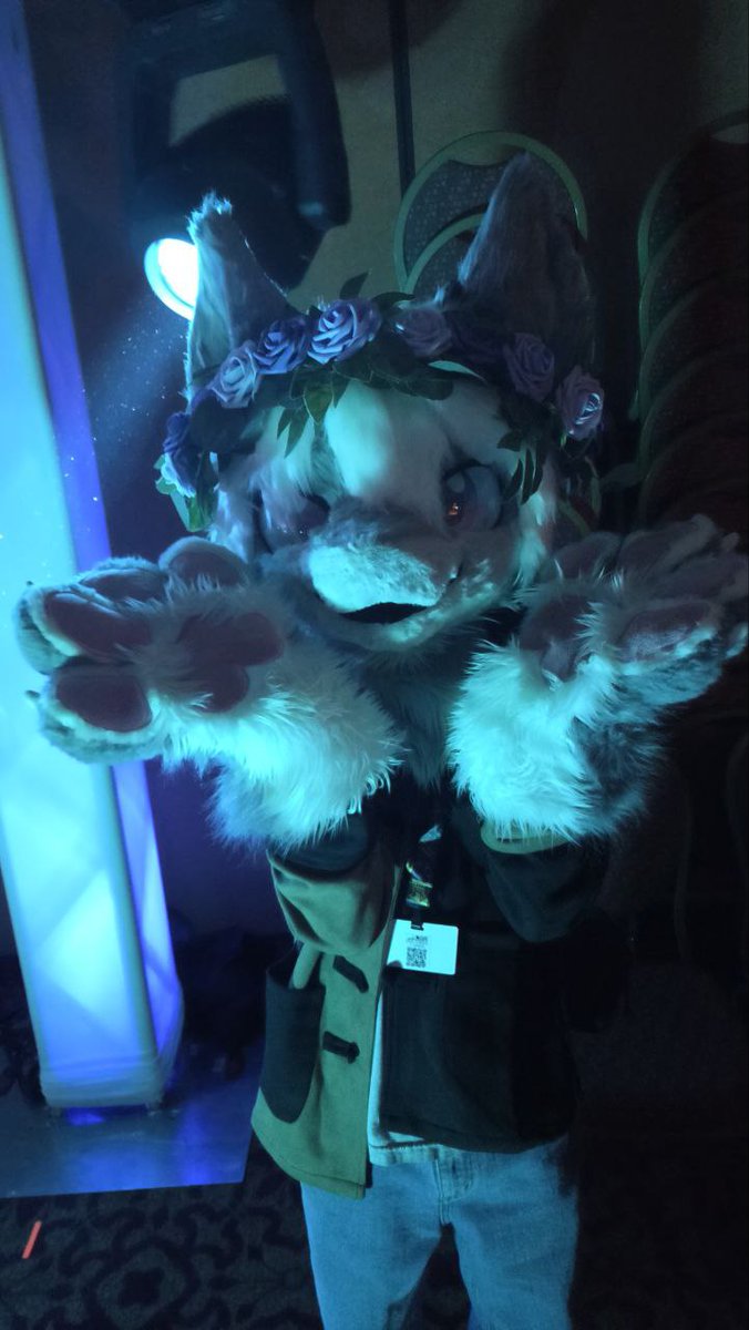 DragonShark27's tweet photo. Anthro expo something something 

📷 @JessKitty314 

#furry #fursuit #Anthroexpo 
#ANEX26 #anthroexpo2026 https://t.co/hXhgNUTrCQ