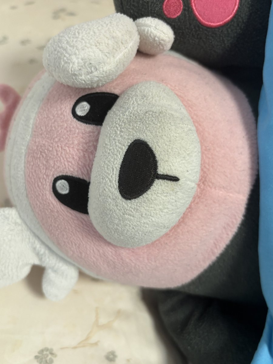 🧸 tweet media