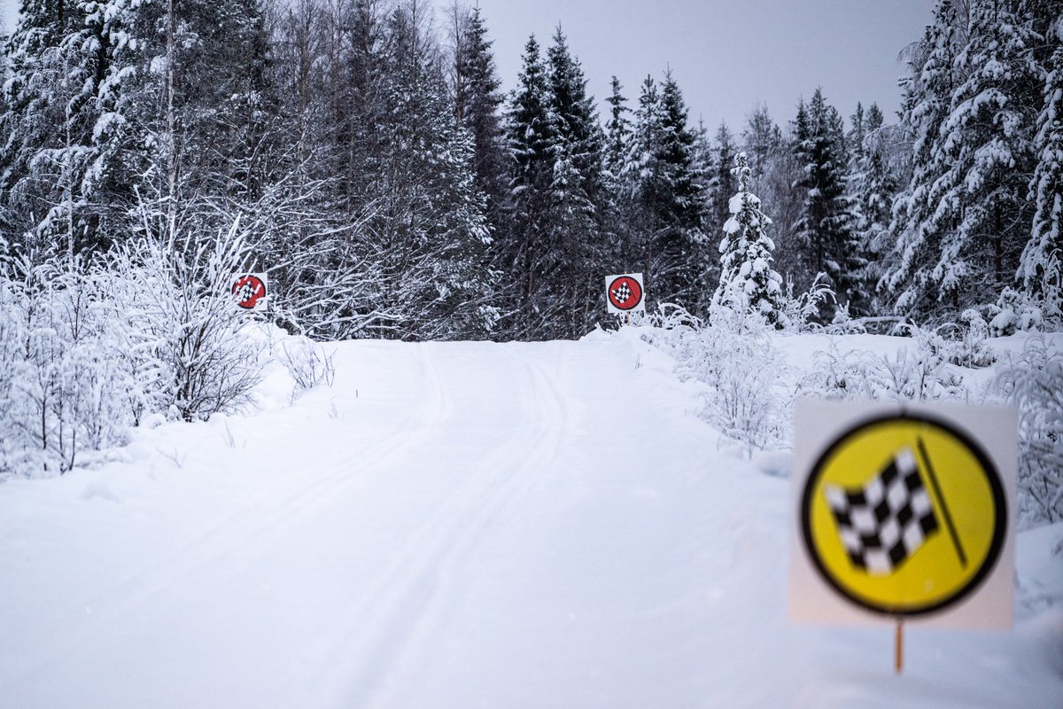 Taylor Gill tweet media