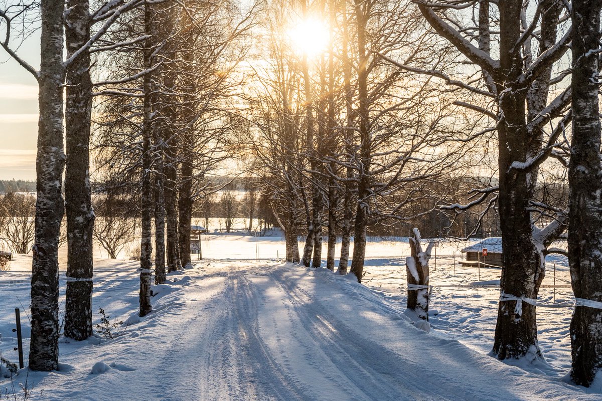 Taylor Gill tweet media