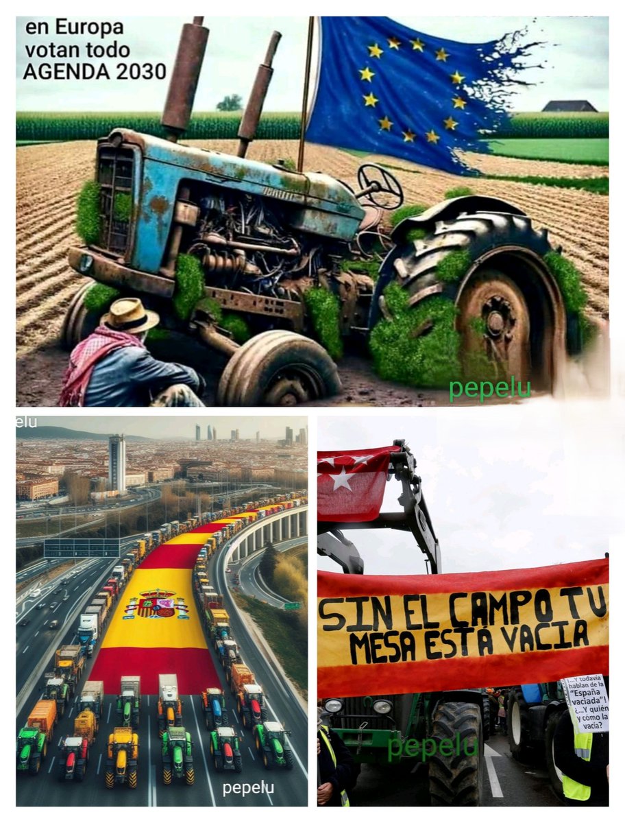 <a href="/DanielFuentes9/">Dani 🦎</a>