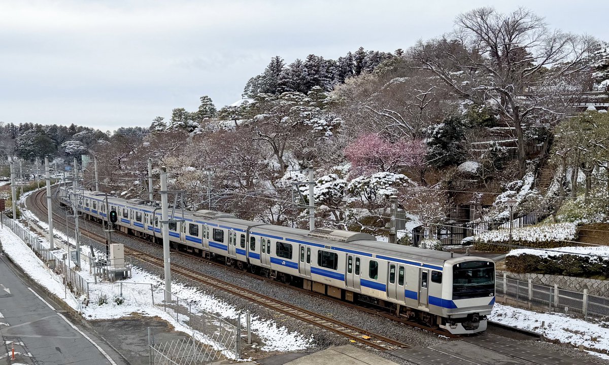 さくら📷咲良 (@sakura555_923) / Posts / X