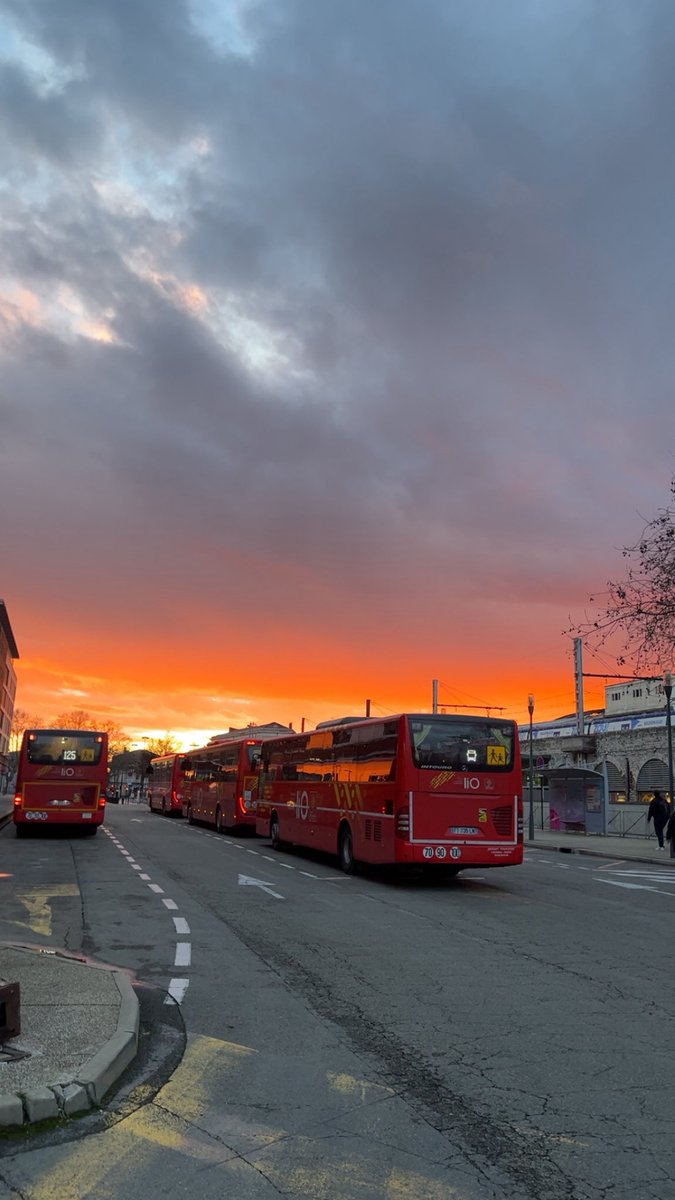 🇲🇦🇳🇱 tweet media