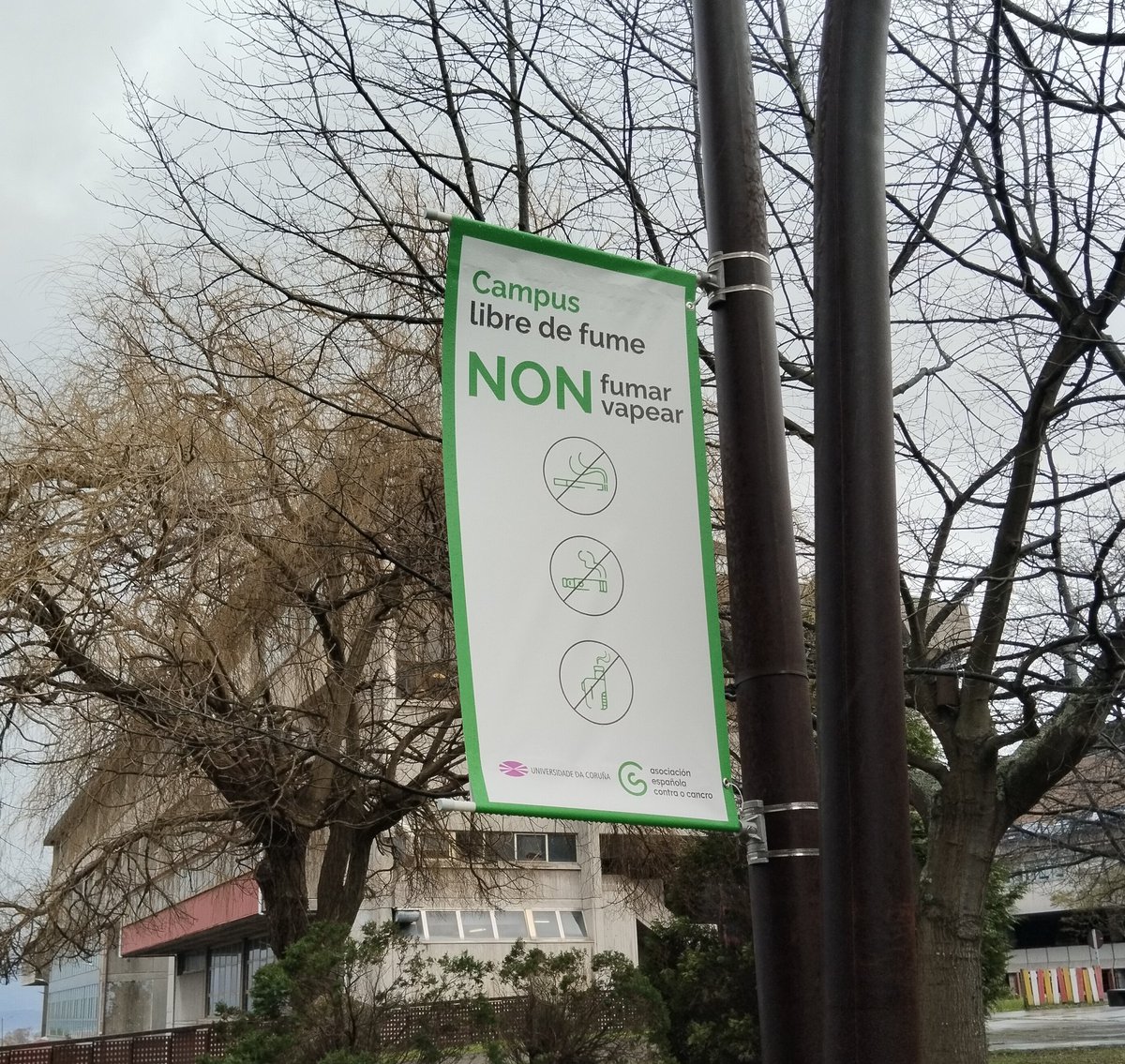 Primero nos dijeron: "no podeis tener niños trabajando en las minas".
Luego vino el: "teneis k abrocharos el cinturon de seguridad".
Y ahora esto... K será lo siguiente...