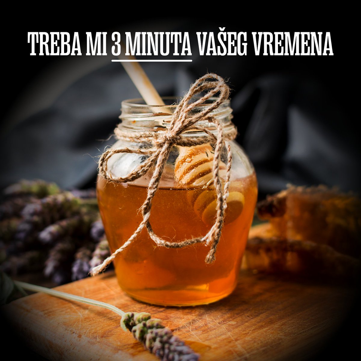 Ivan Minic tweet media