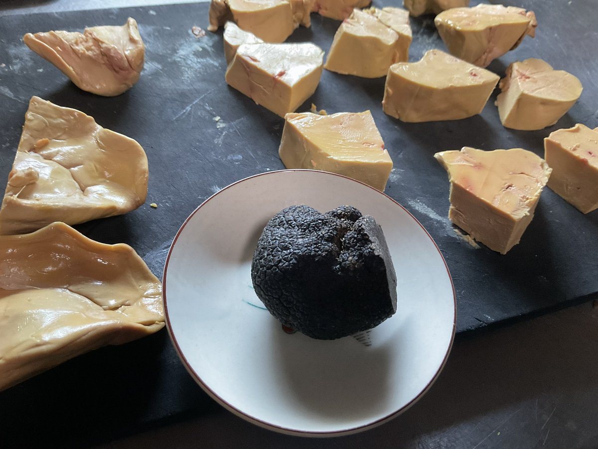 poisson-rouge tweet media