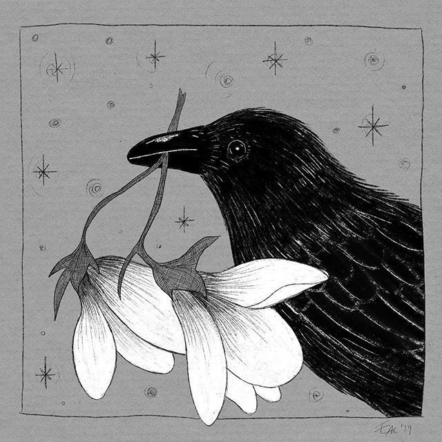 Black. (@blackdreamvibes) on Twitter photo 