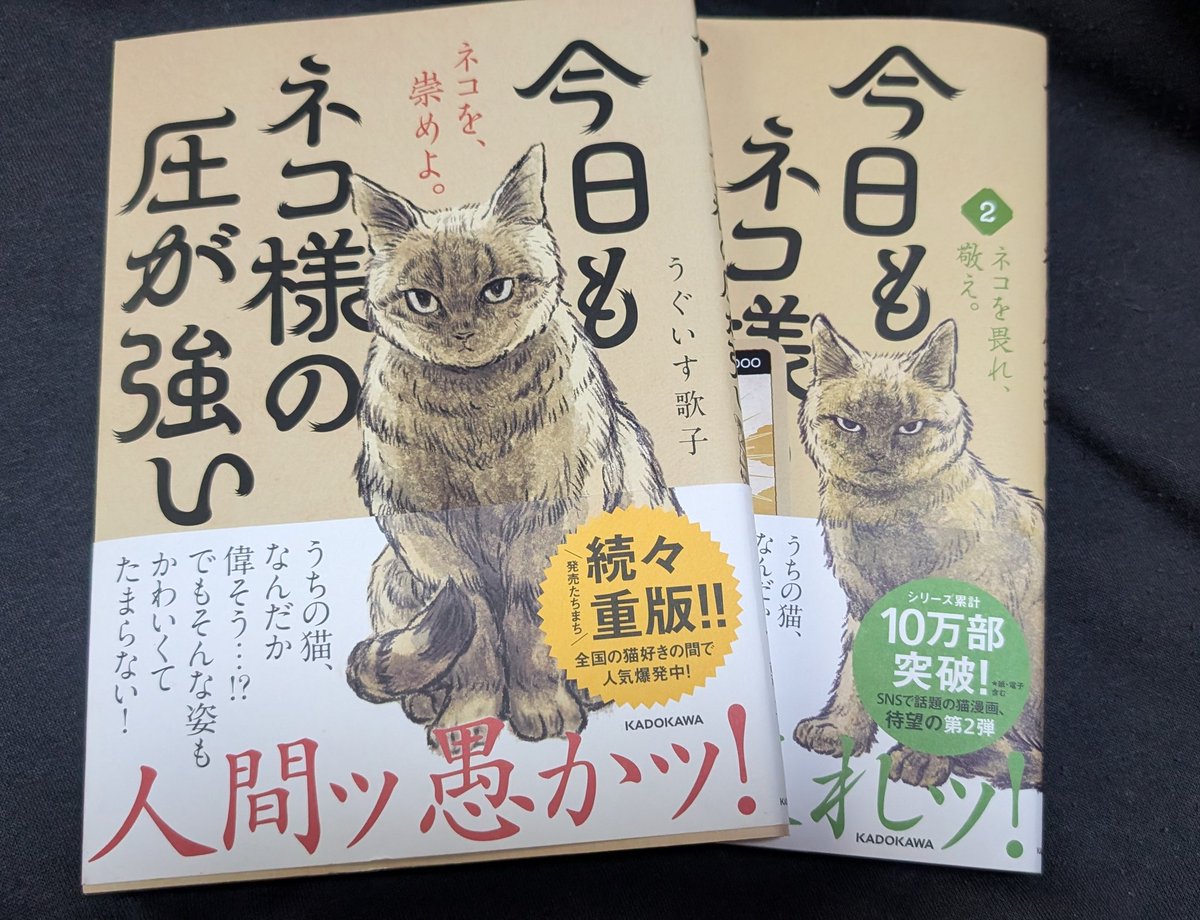 ネコ様！！！ おはようございます