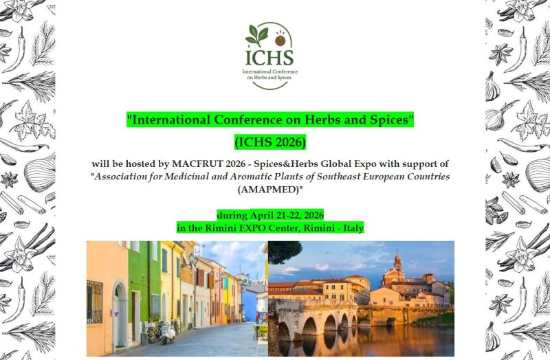 Nilufer Orhan tweet media