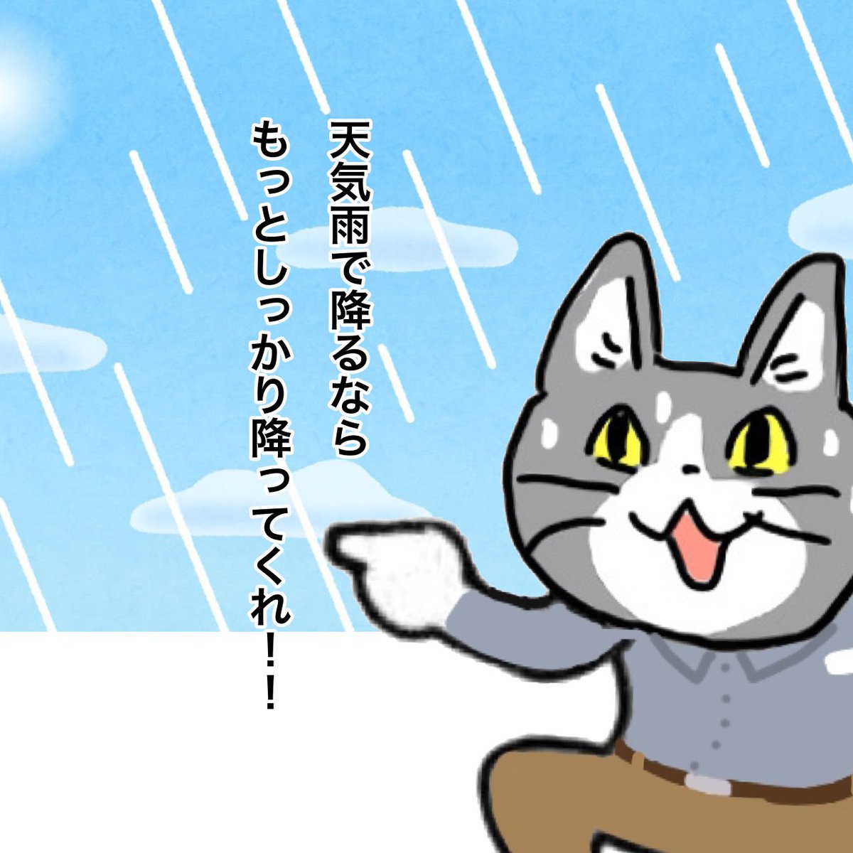 #現場猫
#ホームセンター従業員の叫び 
天気雨に思う事。
