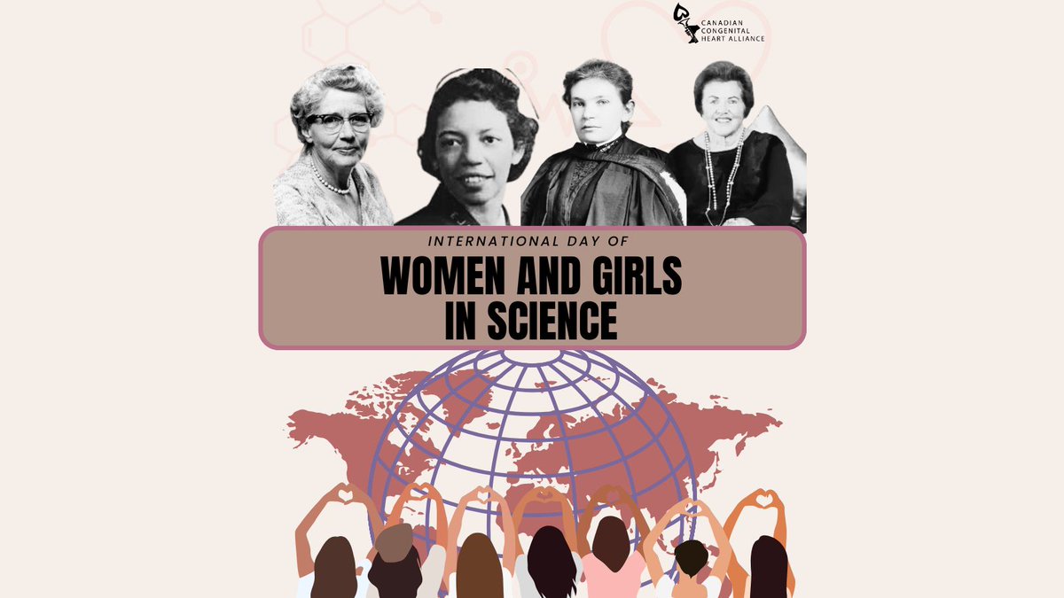 cchaforlife tweet media