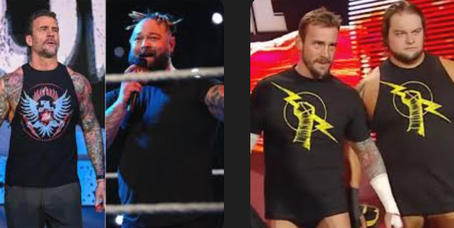 Would love Bray Wyatt vs CM Punk as a "What If" Match in the CM Punk Showcase.! #WWE2K26