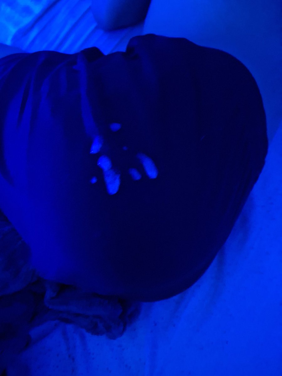 Will 🐶 tweet media