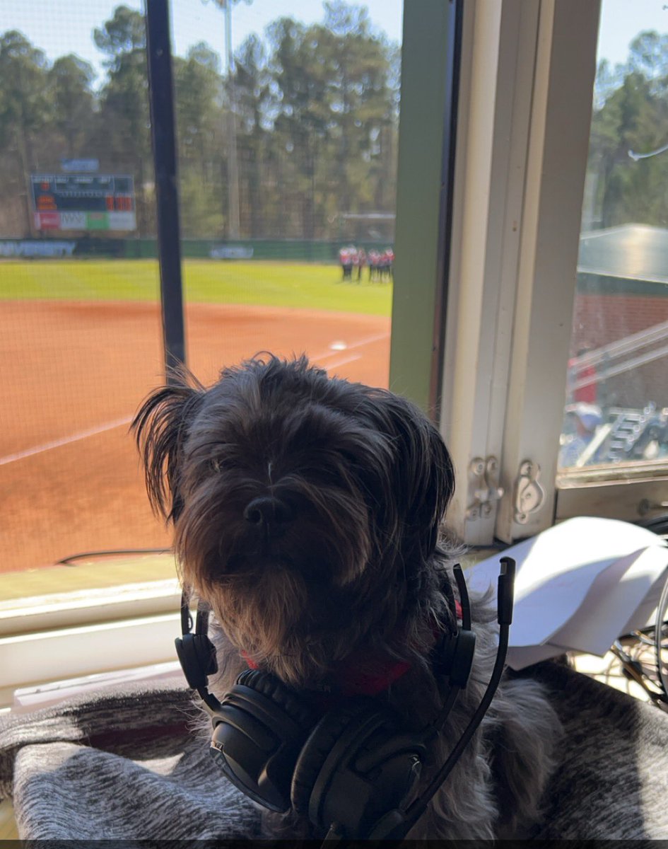 Bailey Clark tweet media