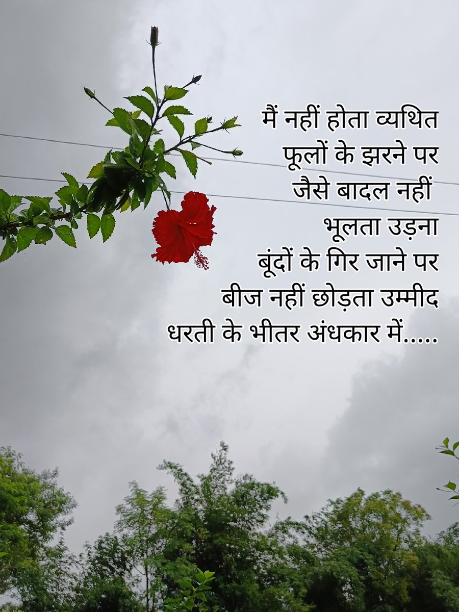 Ashwin Dave tweet media