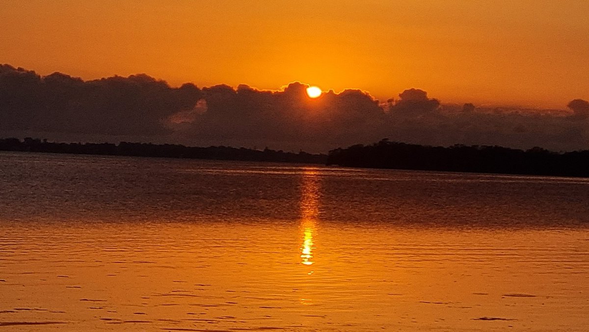 Brian K Corrigan tweet media