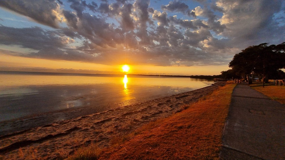 Brian K Corrigan tweet media