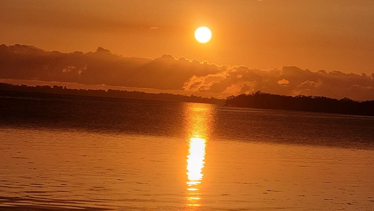 Brian K Corrigan tweet media