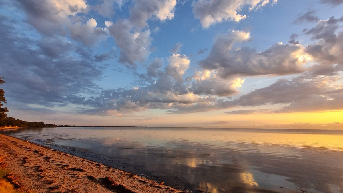 Brian K Corrigan tweet media