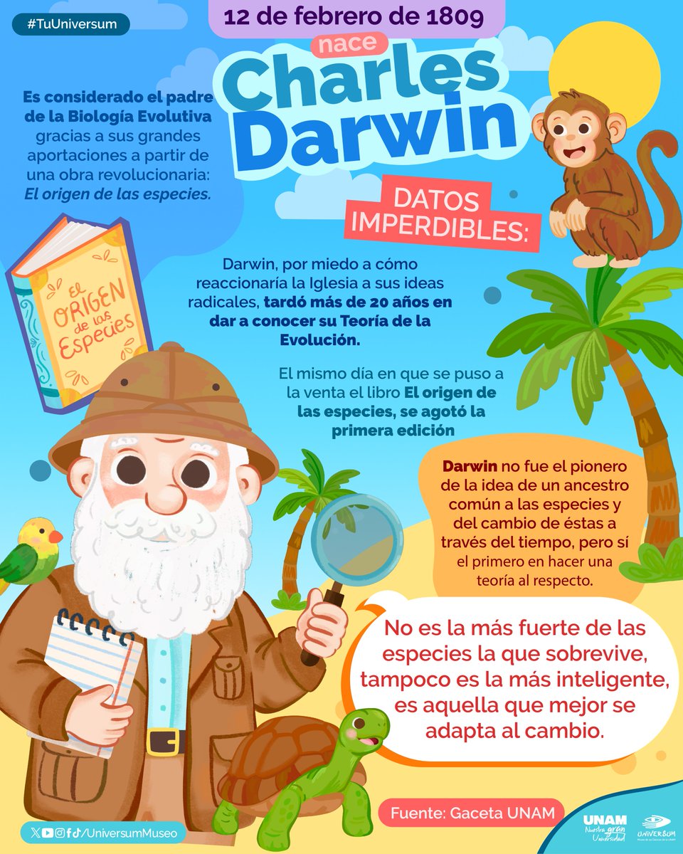 Universum Museo tweet media