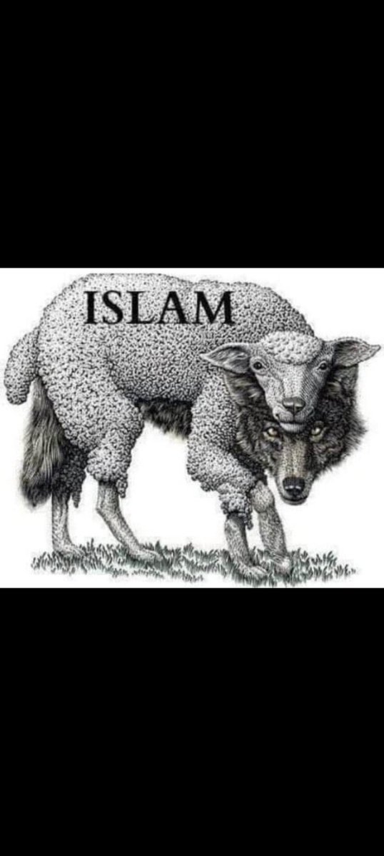 Jim Ratcliffe is right.