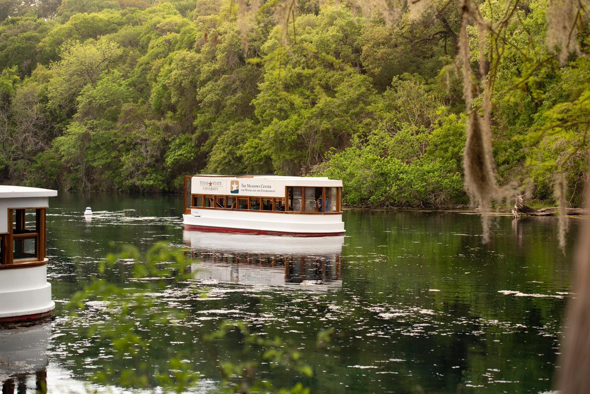 Texas State Admissions tweet media