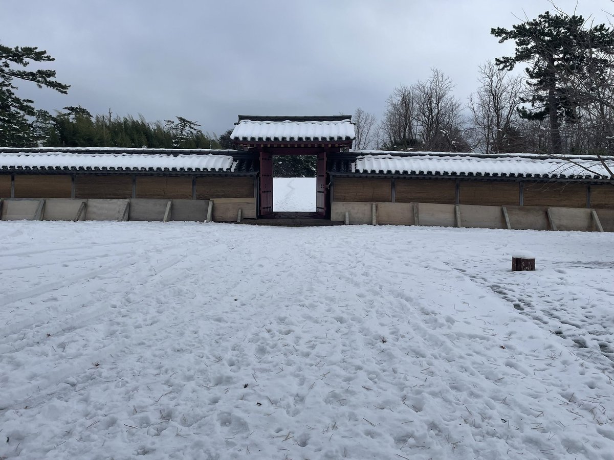 kawazo28's tweet photo. 🏯 古代東北の最前線！1300年前の「官庁＋要塞」秋田城を訪れました
秋田県秋田市にある秋田城は、戦国時代の「お城」とは一味違う、奈良・平安時代に築かれた**古代の城柵（じょうさく）**です。出羽国（でわのくに）の政治・軍事の中心地として、また大陸との交易の玄関口として重要な役割を果たしました。
最大の特徴は、当時としては珍しい**「水洗トイレ」**の遺構が見つかっていること！🚽 寄生虫の卵まで発見されており、当時の役人や外国からの賓客たちがどのような暮らしをしていたのか、リアルな歴史を現代に伝えてくれています。
また、復元された巨大な**「東門」**や土塀は、当時の建築技術の高さと、北の守りを固める国家プロジェクトの壮大さを感じさせます。
単なる軍事基地ではなく、異文化が交差した北の交流拠点。1000年以上の時を超えて残る土の壁や門の前に立つと、古代の人々の息吹が聞こえてくるような、ロマンあふれるスポットでした！
#秋田城 #古代史 #歴史 #秋田観光 #城郭 #水洗トイレ #日本100名城