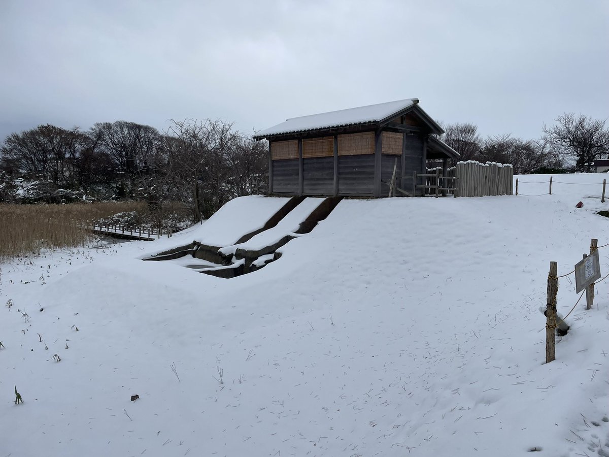 kawazo28's tweet photo. 🏯 古代東北の最前線！1300年前の「官庁＋要塞」秋田城を訪れました
秋田県秋田市にある秋田城は、戦国時代の「お城」とは一味違う、奈良・平安時代に築かれた**古代の城柵（じょうさく）**です。出羽国（でわのくに）の政治・軍事の中心地として、また大陸との交易の玄関口として重要な役割を果たしました。
最大の特徴は、当時としては珍しい**「水洗トイレ」**の遺構が見つかっていること！🚽 寄生虫の卵まで発見されており、当時の役人や外国からの賓客たちがどのような暮らしをしていたのか、リアルな歴史を現代に伝えてくれています。
また、復元された巨大な**「東門」**や土塀は、当時の建築技術の高さと、北の守りを固める国家プロジェクトの壮大さを感じさせます。
単なる軍事基地ではなく、異文化が交差した北の交流拠点。1000年以上の時を超えて残る土の壁や門の前に立つと、古代の人々の息吹が聞こえてくるような、ロマンあふれるスポットでした！
#秋田城 #古代史 #歴史 #秋田観光 #城郭 #水洗トイレ #日本100名城