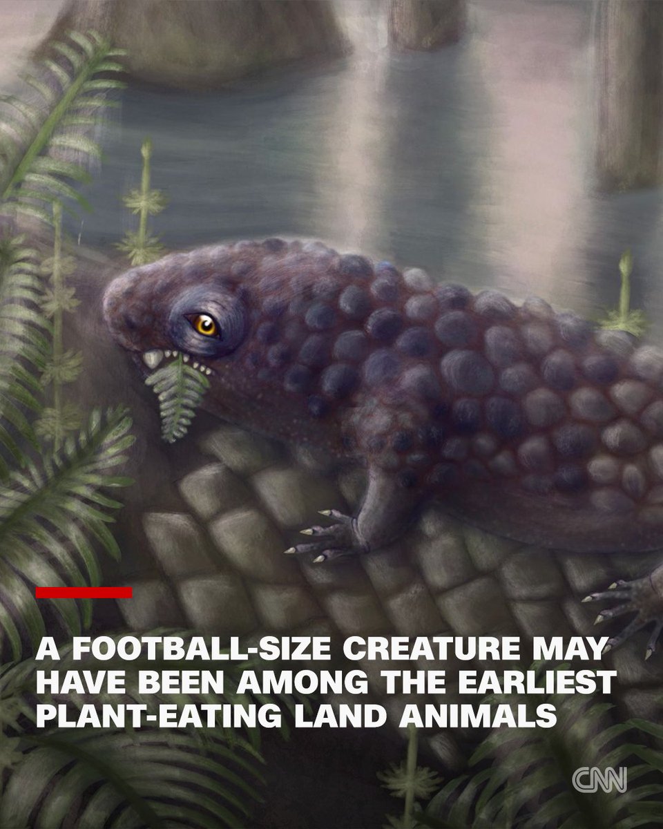 CNN (@CNN) / Posts and Replies / X