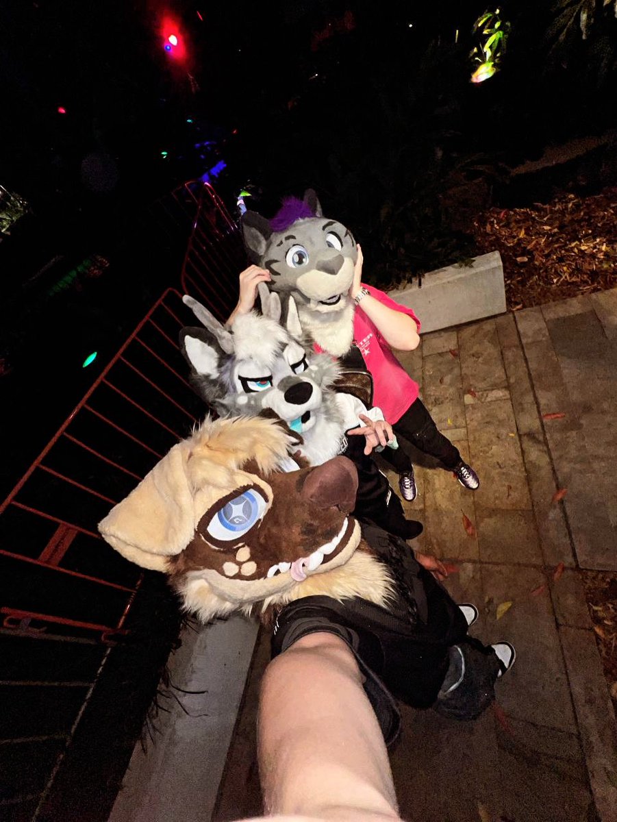 BuckyODD 🔜 FURDU 2026 tweet media