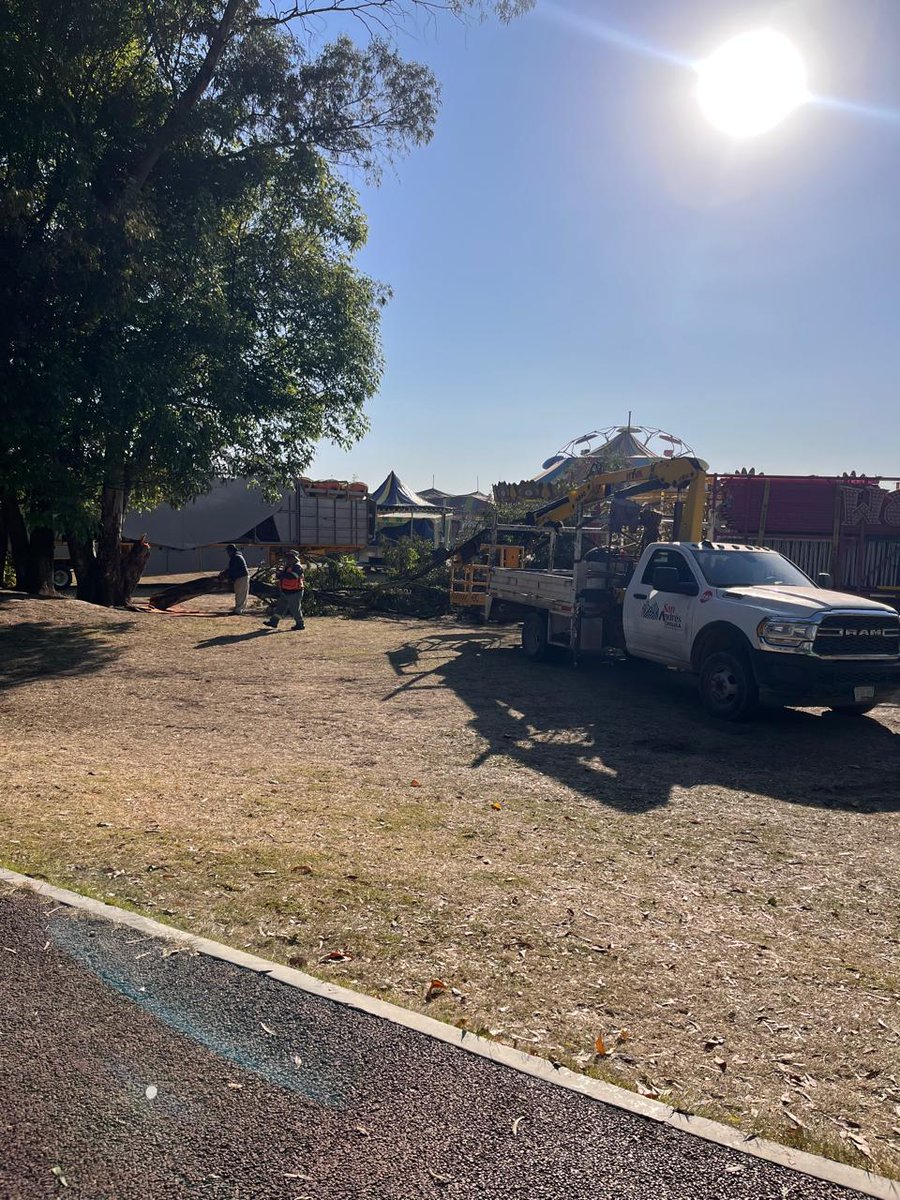 <a href="/AmbienteGobPue/">Secretaría de Medio Ambiente</a> URGENTE se requiere detengan esto, la gente de la feria de San Andrés Cholula están tirando árboles para poner sus juegos, es necesaria su presencia por favor...🚨
<a href="/SnAndresOficial/">Ayuntamiento de San Andrés Cholula</a> <a href="/supercivicosmx/">Los Supercívicos</a>