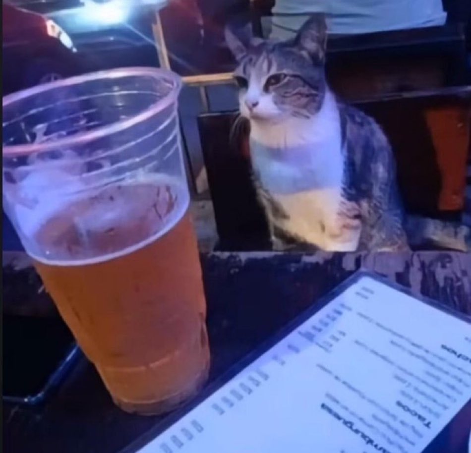 no tenía con quien salir hoy asi q lo traje a horacio 💯