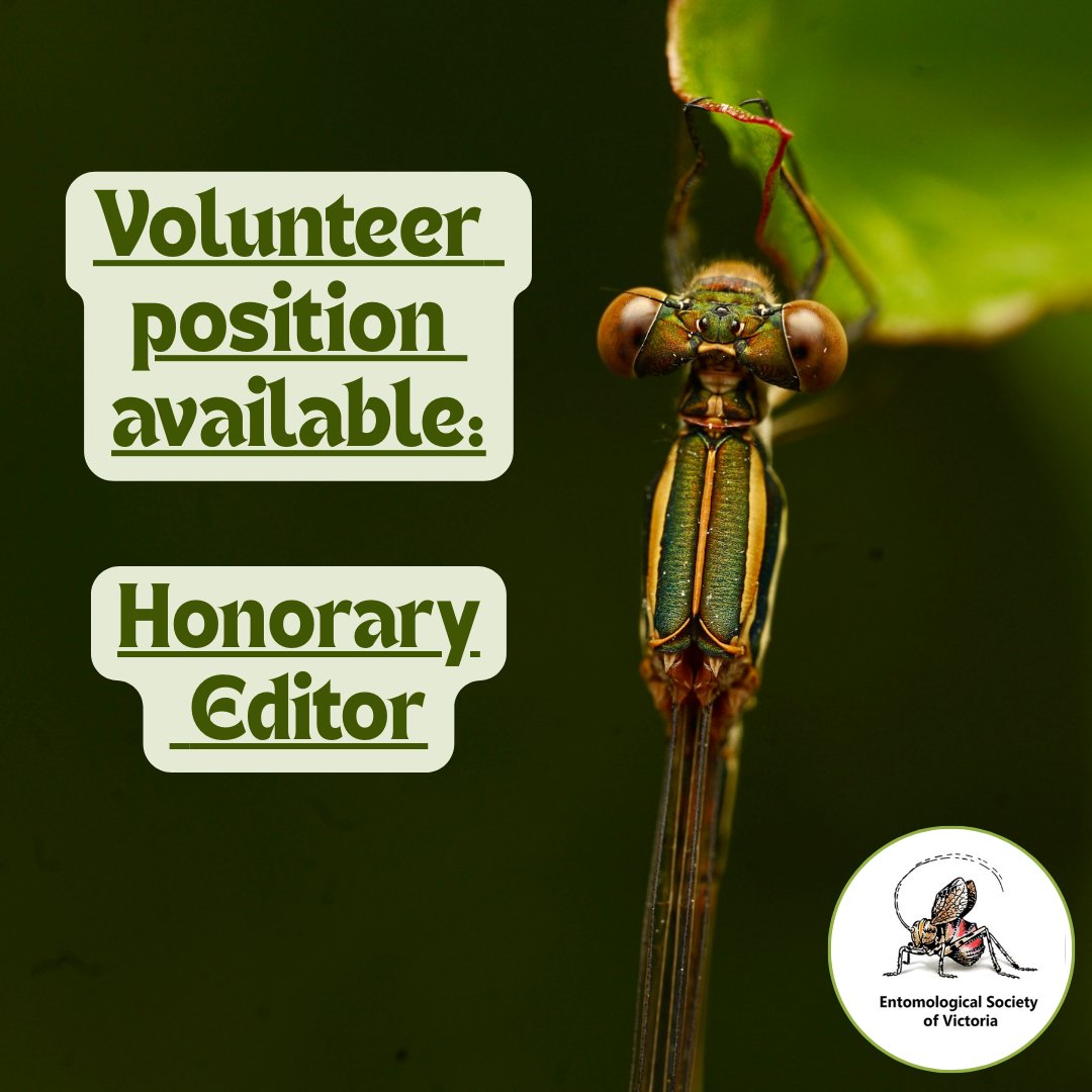 Entomological Society of Victoria 🐛🐜🦟🐞🕷️🦗 tweet media