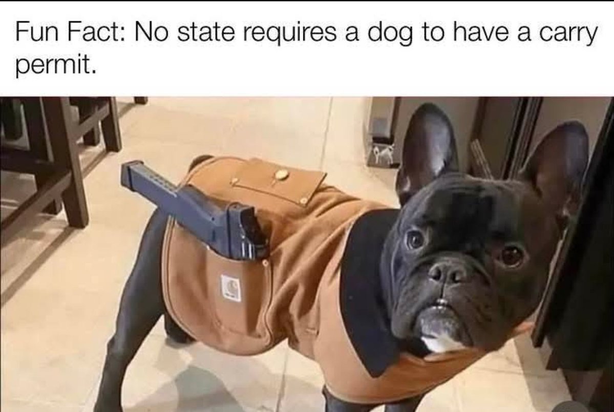 Tricia “Tricia” Scott (@triciasc01) on Twitter photo 